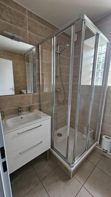 Apartament Les Mouettes Thonon-les-Bains Zewnętrze zdjęcie